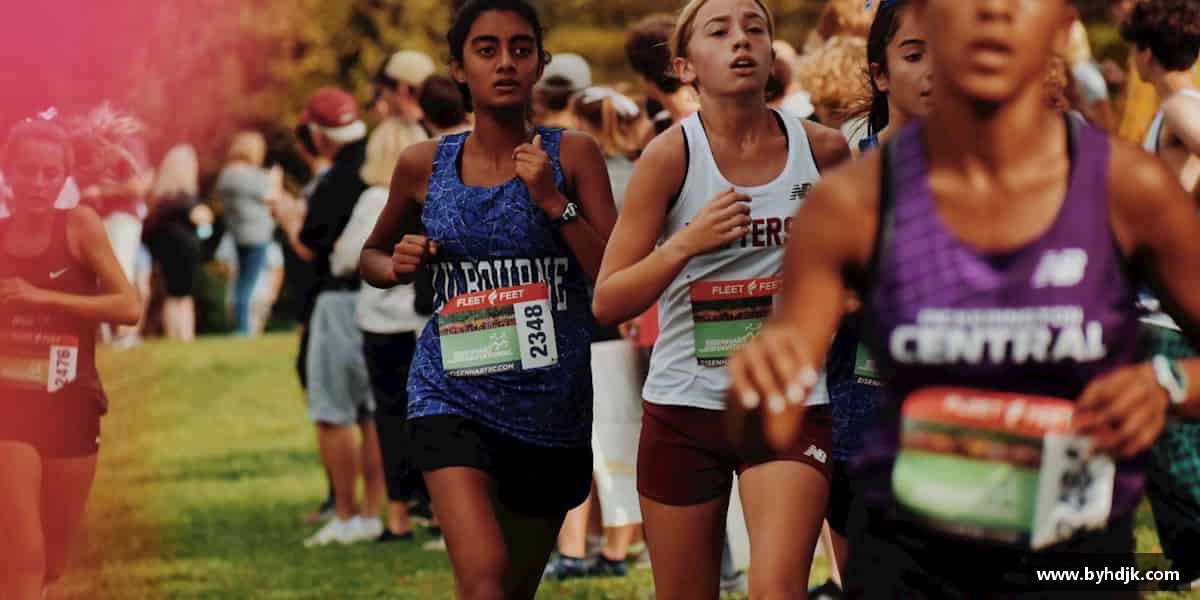 介绍yy易游官网